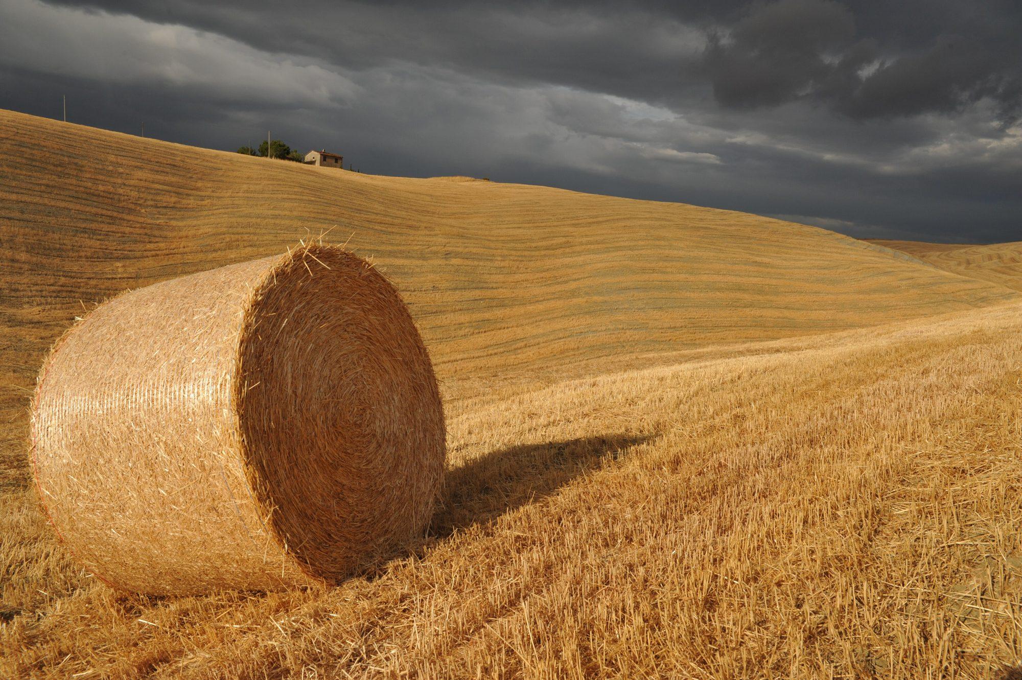 Tuscany & Florence