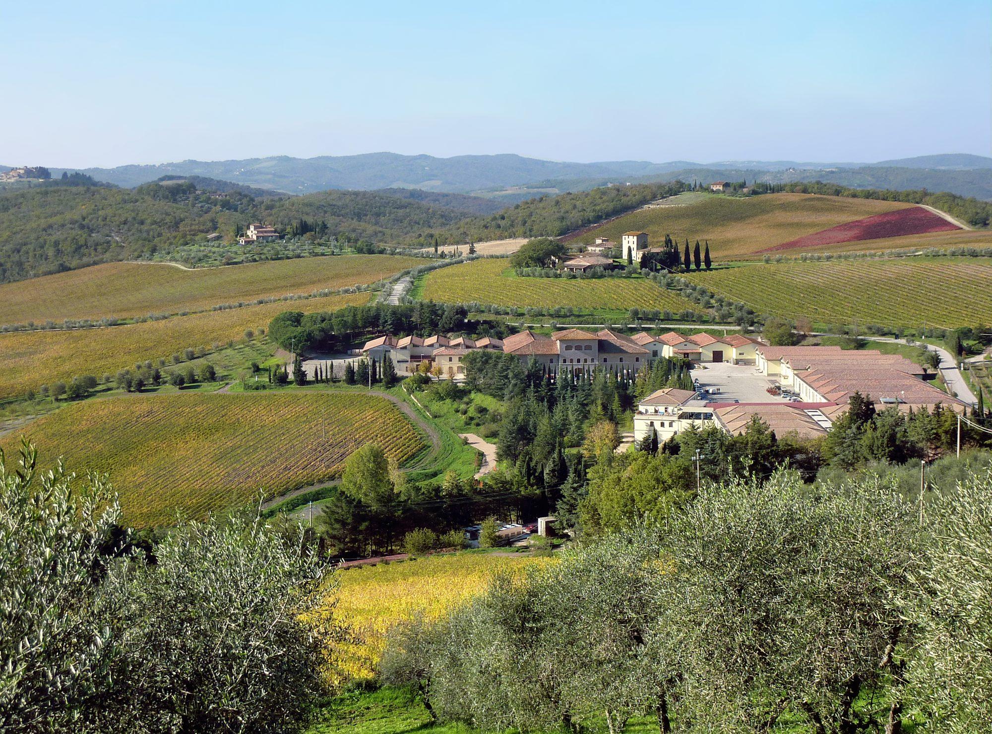 Wine Country Tours, Crafted for Wine Lovers